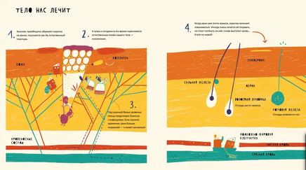 Тайная жизнь болячек Print Books Самокат