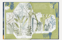 Привет, Петербург!. Таня Борисова Printed books Ад Маргинем