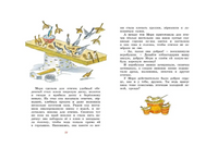 Шоколадный кролик. Сказки МАХАОН