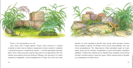 Всему своё место. Г. Х. Андерсен Print Books Нигма