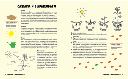 Мой первый огород. Посей, собери, съешь Printed books Белая Ворона