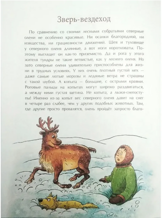Вот ты какой, северный олень! Printed books Настя и Никита