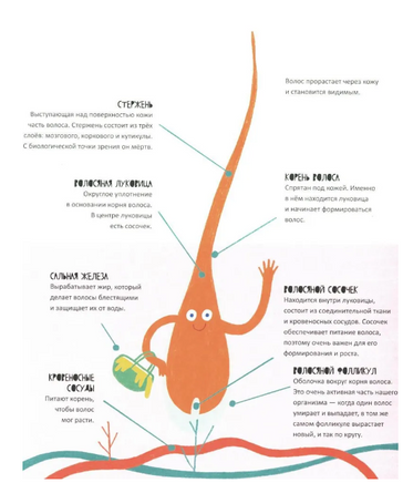 Тайная жизнь волос Printed books Самокат