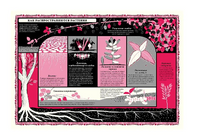 Мир растений Printed books Поляндрия Принт