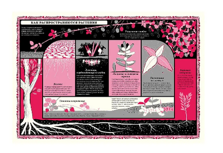 Мир растений Printed books Поляндрия Принт