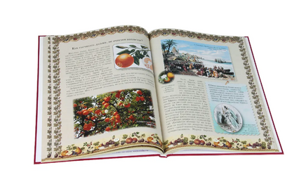 Прогулки по саду Printed books Белый город