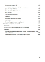 Пелагия и черный монах. Роман с расшифровкой. Борис Акунин Print Books Бабук книжный клуб