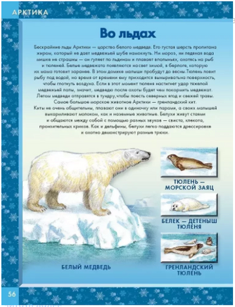 Животные мира. Кто живёт на нашей планете Printed books Хоббитека