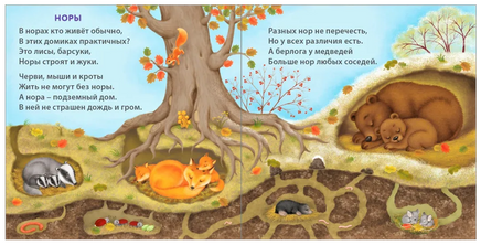 Удивительные дома животных. Книжки-картонки Printed books Робинс