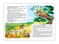Чей нос лучше? Внеклассное чтение Printed books Проф Пресс