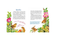 Птички-невелички. Н. Габеева Printed books Настя и Никита
