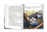 Мои соседи соколы Printed books Феникс-Премьер