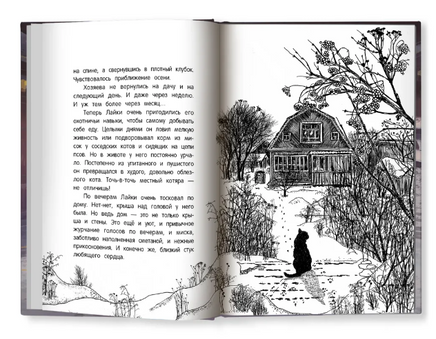 Долгая дорога домой Printed books Феникс-Премьер