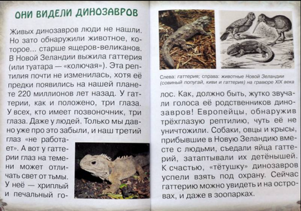 Животные Земли. Прошлое и будущее Printed books Белый город