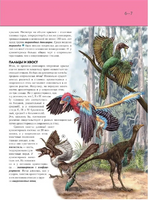 Птицы. Полная энциклопедия Printed books Эксмо