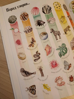 Формы и узоры природы / Яна Седлачкова, Штепанка Сэканинова Printed books Фолиант