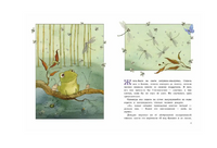 Лягушка-путешественница. Гаршин В. Printed books Речь