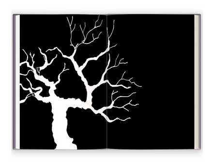 Мой друг вампир Printed books Феникс-Премьер