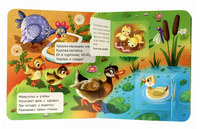 Книжка с Окошками для Малышей. Ферма Printed books Проф Пресс
