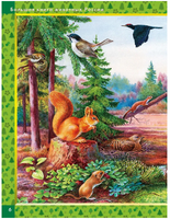 Родная природа. Кто живёт на просторах России Printed books Хоббитека