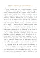 Сахалин. Самый большой остров в России Printed books Настя и Никита