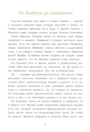 Сахалин. Самый большой остров в России Printed books Настя и Никита