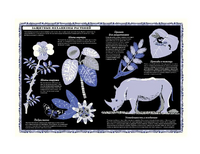 Мир растений Printed books Поляндрия Принт