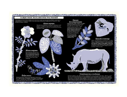 Мир растений Printed books Поляндрия Принт