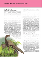 Птицы. Полная энциклопедия Printed books Эксмо