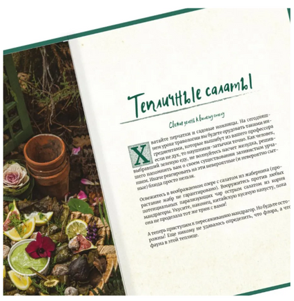 Гарри Поттер. Кулинарная книга. Printed books Капитал