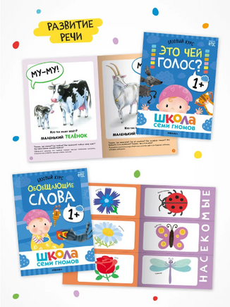 Школа Семи Гномов. Годовой базовый курс. Комплект 1+ Printed books Мозаика-Синтез