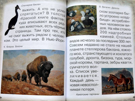 Животные Земли. Прошлое и будущее Printed books Белый город