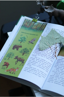 Наша страна Россия. Детская энциклопедия с Чевостиком Printed books МИФ