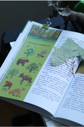 Наша страна Россия. Детская энциклопедия с Чевостиком Printed books МИФ