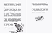 С утра до вечера. Простая наука для детей Printed books АСТ