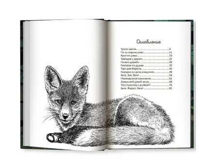 Бегущие по кромке леса. Серия Буду твоим другом Printed books Феникс-Премьер