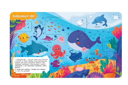 Книги с окошками. Животные Printed books Росмэн