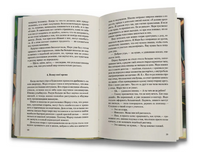 Огни сумеречного города Printed books Феникс-Премьер