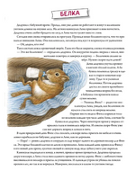 Пушистые малыши. Как растут животные и птицы Printed books Питер