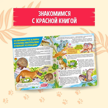 Атлас животных для детей, 5+. Скворцова А. Printed books Проф Пресс