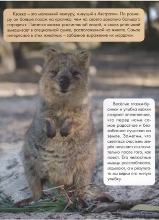 Зачем Светлячку Фонарик? Printed books Проф Пресс