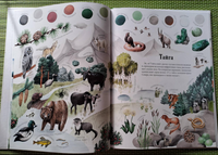 Цвета окружающего мира / Яна Седлачкова, Штепанка Сэканинова Printed books Фолиант