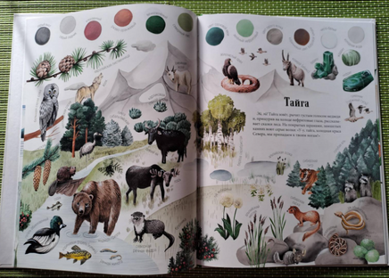 Цвета окружающего мира / Яна Седлачкова, Штепанка Сэканинова Printed books Фолиант