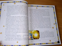 Мифы Древней Греции. Истории о богах, героях и чудовищах Printed books Вилли Винки