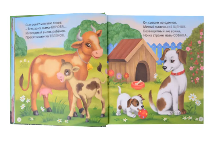 Загадки - рифмы. Подарочное издание Printed books Робинс