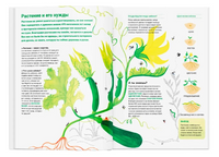 Сад круглый год Что такое пермакультура. Нелли Пон и Иоанна Жезак Printed books Ад Маргинем