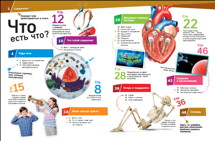 Человек. Взгляд внутрь Printed books Эксмо