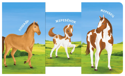 Мама, папа и малыш. Домашние животные. Книжки - задвижки. Printed books Робинс