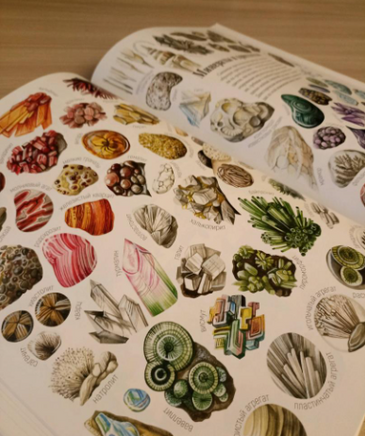 Формы и узоры природы / Яна Седлачкова, Штепанка Сэканинова Printed books Фолиант