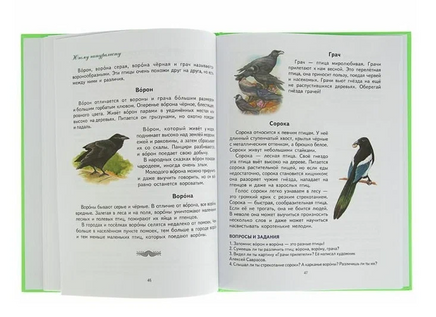 Первая после букваря книга для чтения. Н. Жукова Printed books Эксмо